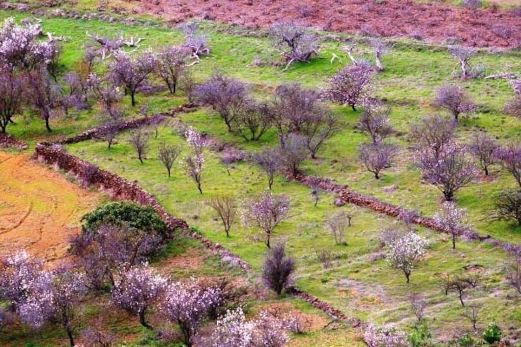 Вілла Casa Poesia De El Hierro, Situada En El Centro De El Pinar El Pinar  Екстер'єр фото