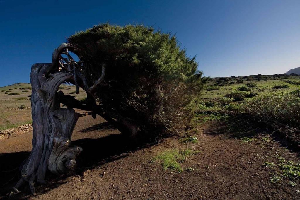Вілла Casa Poesia De El Hierro, Situada En El Centro De El Pinar El Pinar  Екстер'єр фото